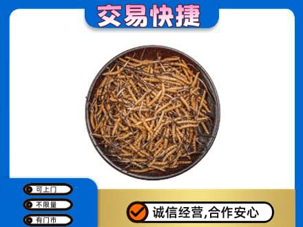 沧州高价回收散虫草