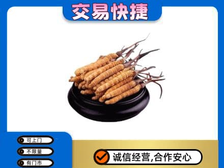 沧州回收冬虫夏草多少钱每克